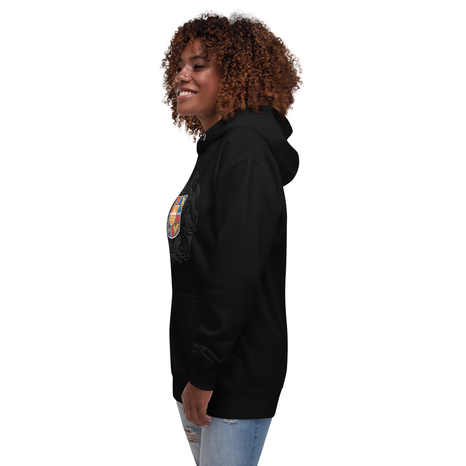 Unisex "Armenian Coat of Arms & Tricolor" Graphic Hoodie Pomegranate Mint