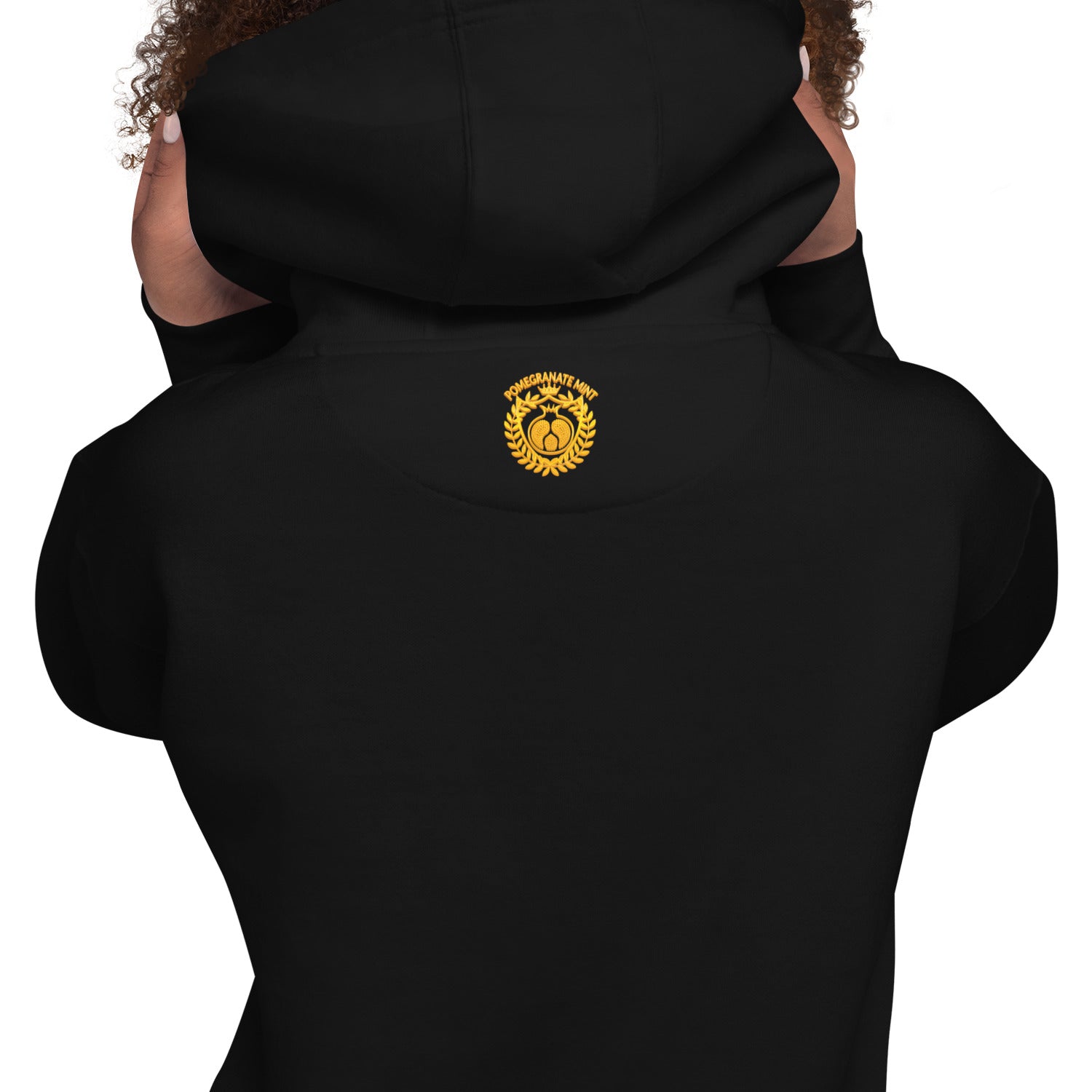 Unisex "Armenian Coat of Arms & Tricolor" Graphic Hoodie Pomegranate Mint