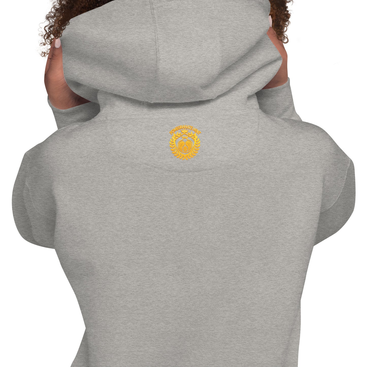Unisex "Armenian Coat of Arms & Tricolor" Graphic Hoodie Pomegranate Mint
