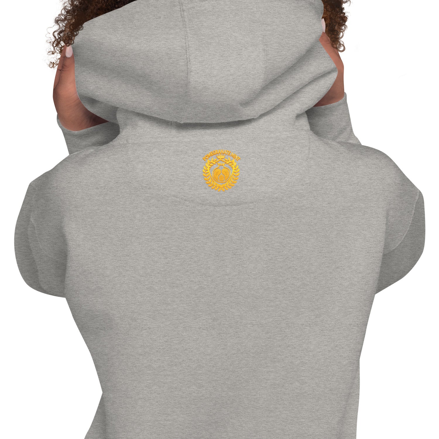 Unisex "Armenian Coat of Arms & Tricolor" Graphic Hoodie Pomegranate Mint