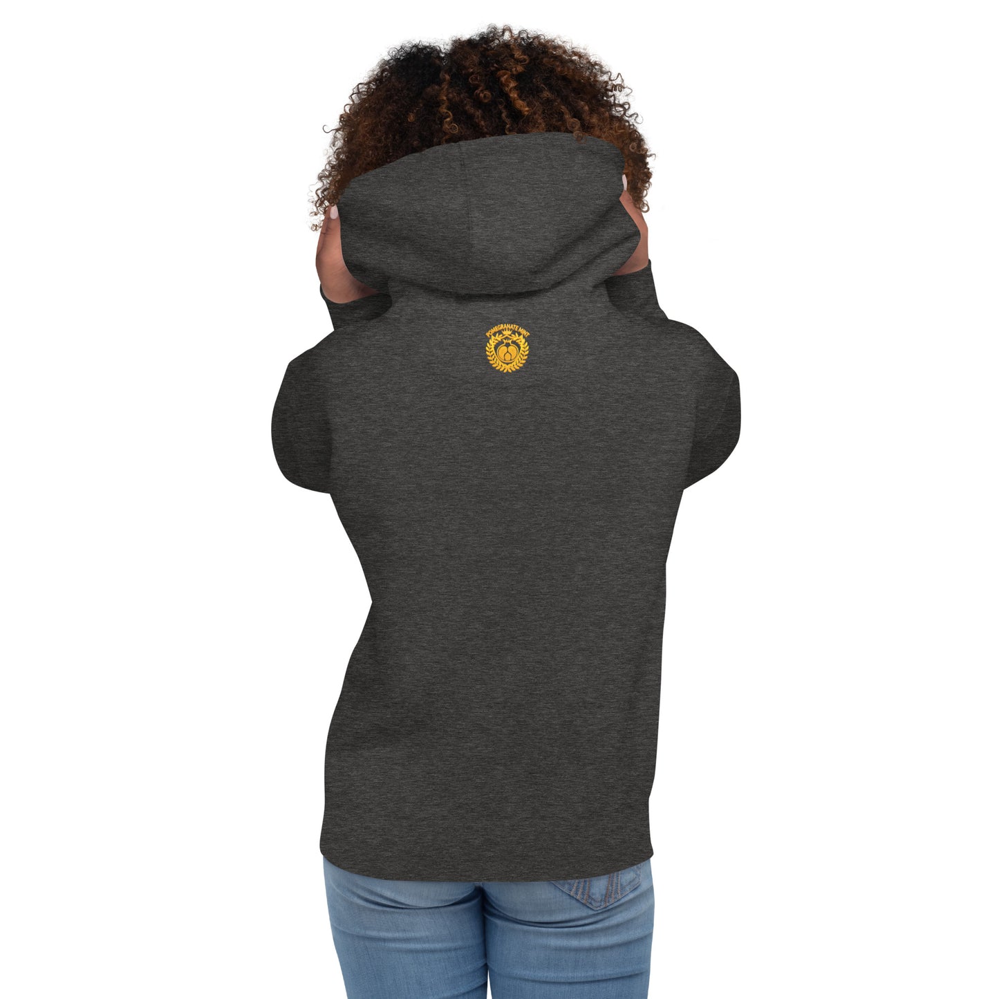Unisex "Armenian Coat of Arms & Tricolor" Graphic Hoodie Pomegranate Mint