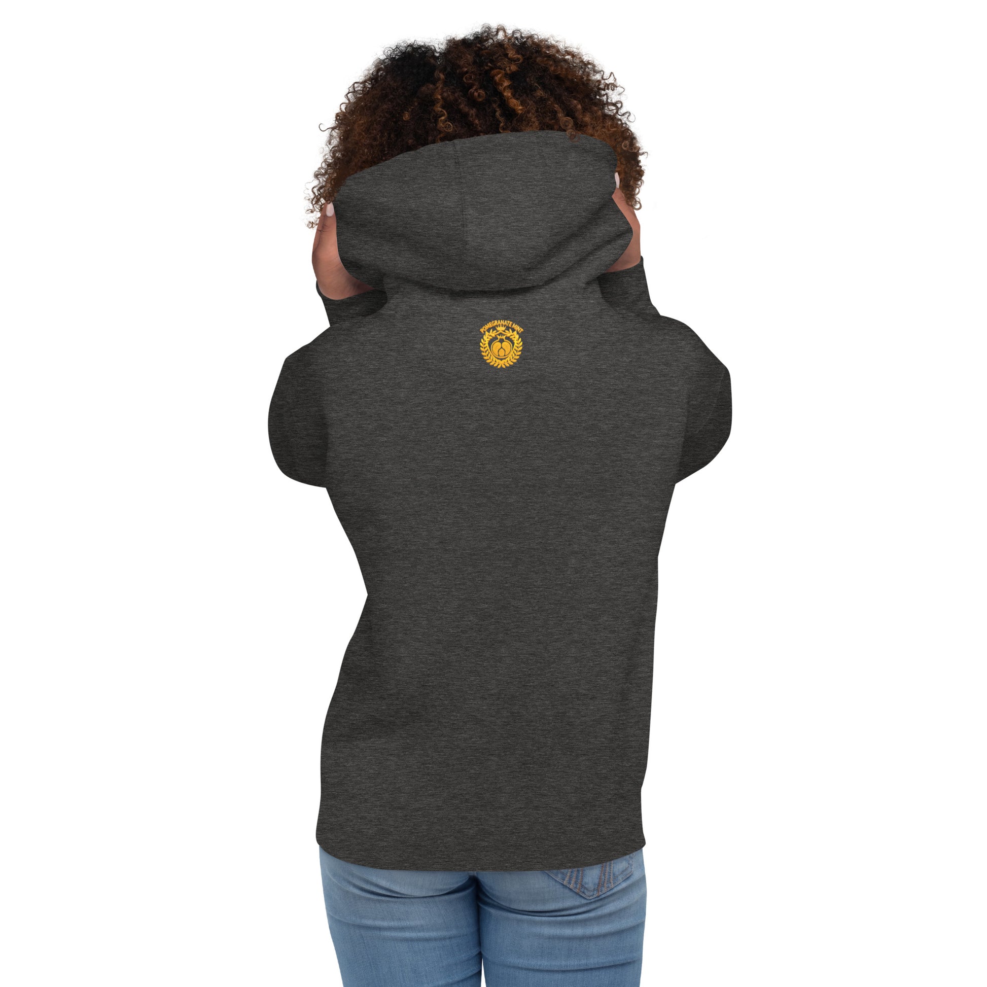 Unisex "Armenian Coat of Arms & Tricolor" Graphic Hoodie Pomegranate Mint