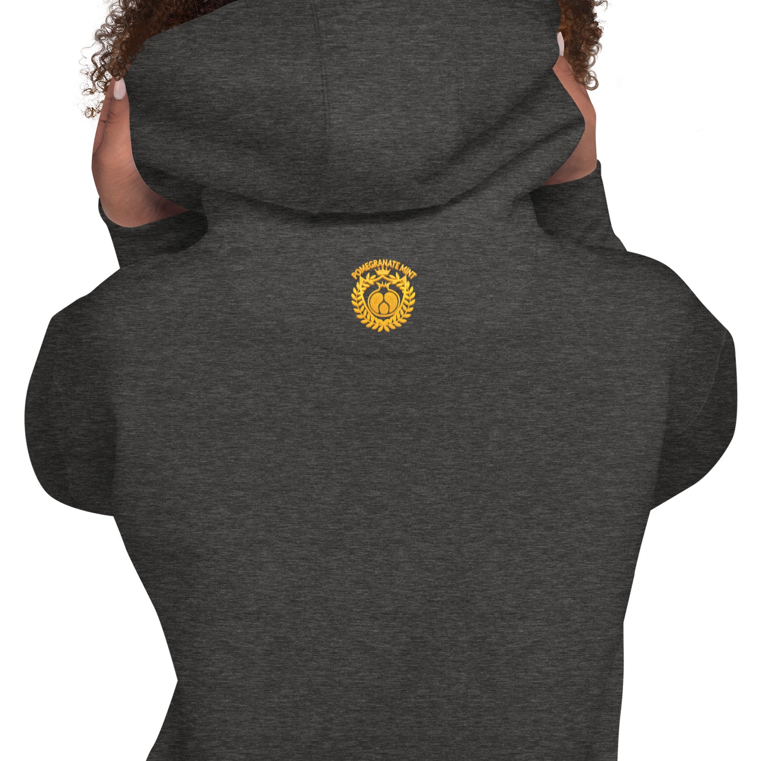 Unisex "Armenian Coat of Arms & Tricolor" Graphic Hoodie Pomegranate Mint