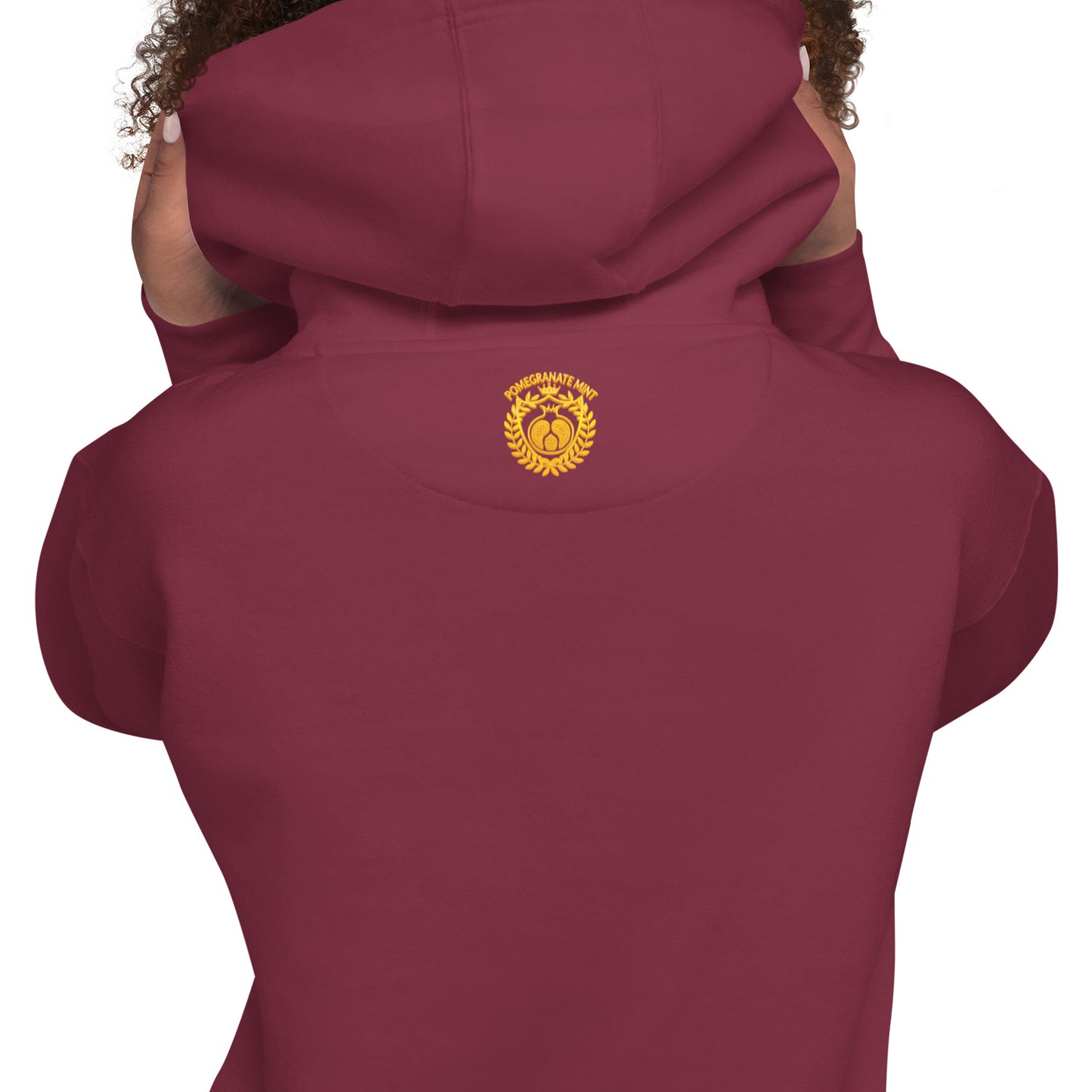 Unisex "Armenian Coat of Arms & Tricolor" Graphic Hoodie Pomegranate Mint