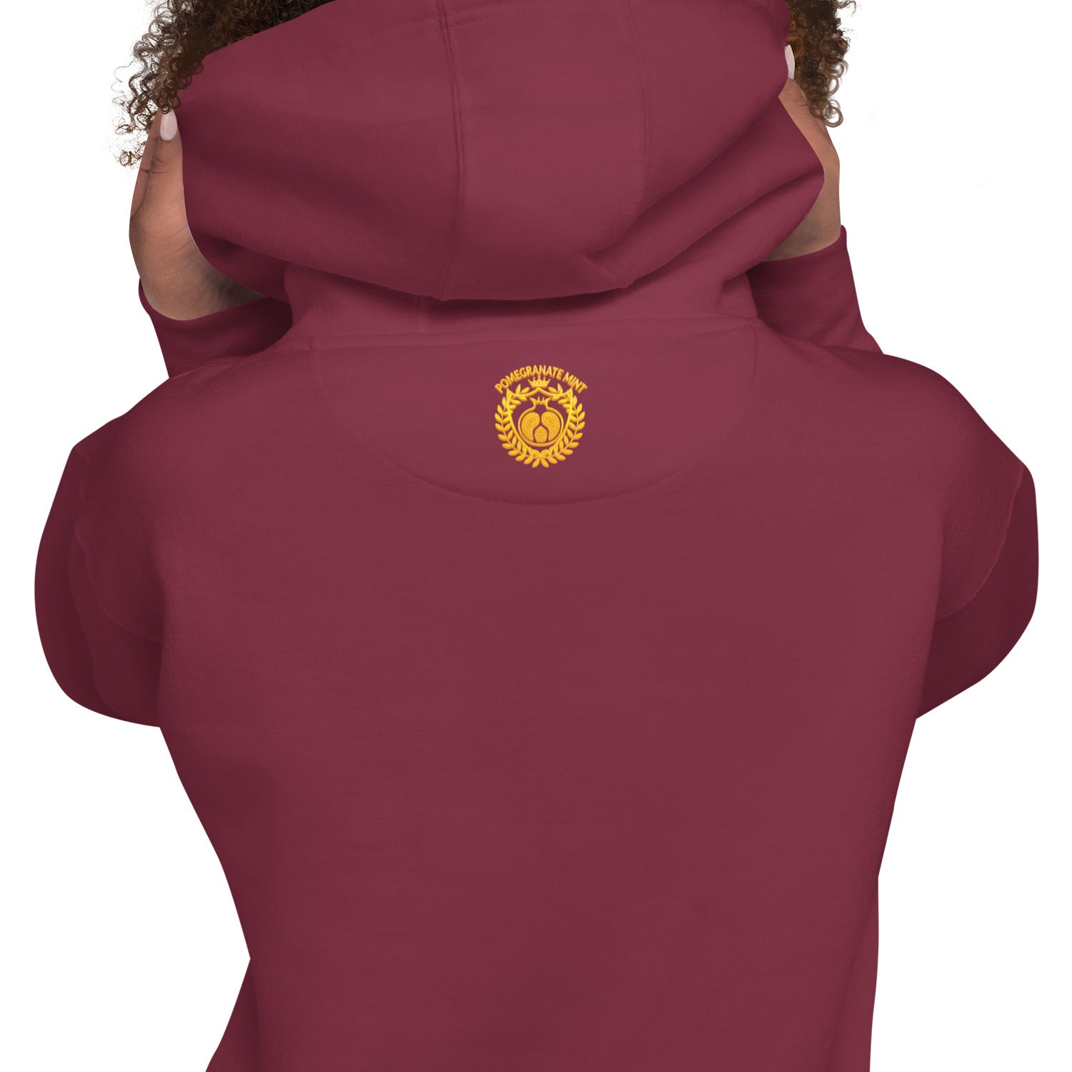 Unisex "Armenian Coat of Arms & Tricolor" Graphic Hoodie Pomegranate Mint