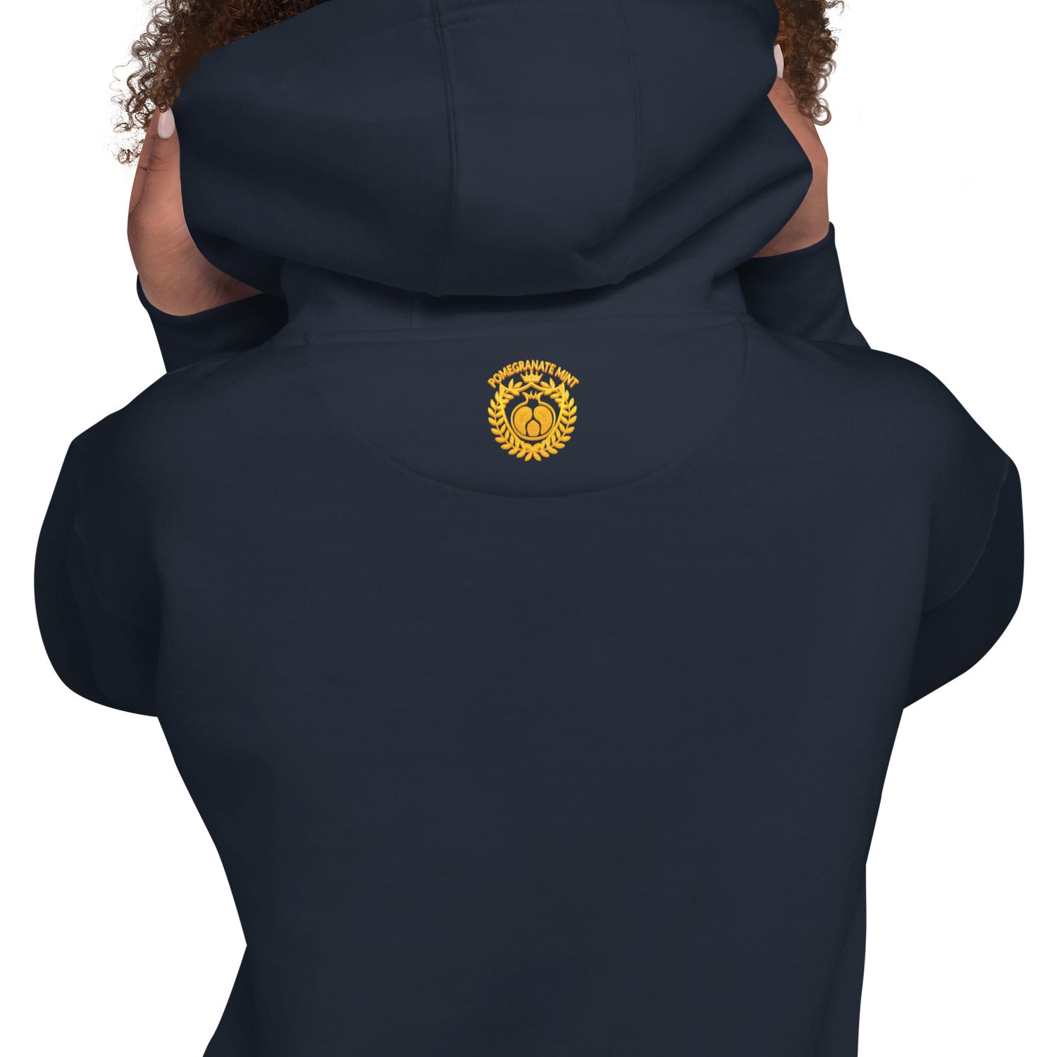 Unisex "Armenian Coat of Arms & Tricolor" Graphic Hoodie Pomegranate Mint