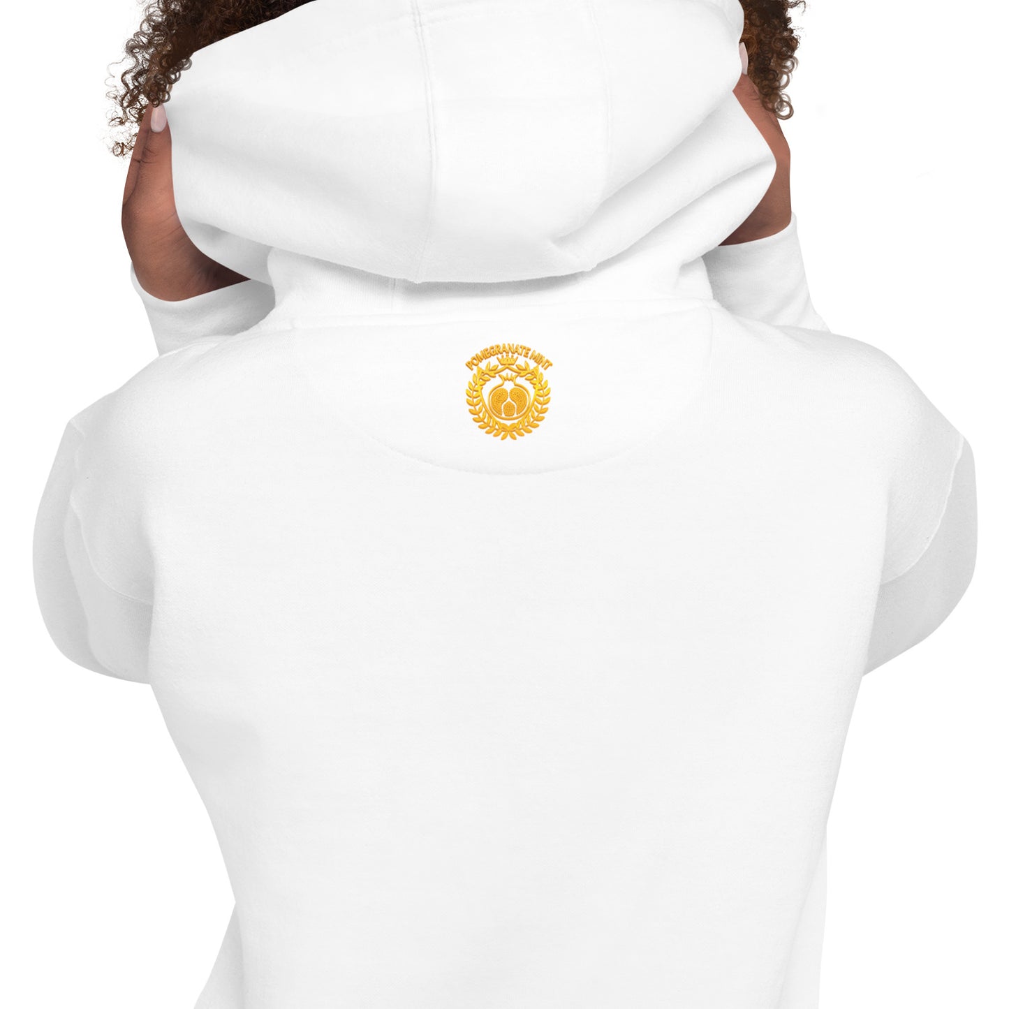 Unisex "Armenian Coat of Arms & Tricolor" Graphic Hoodie Pomegranate Mint
