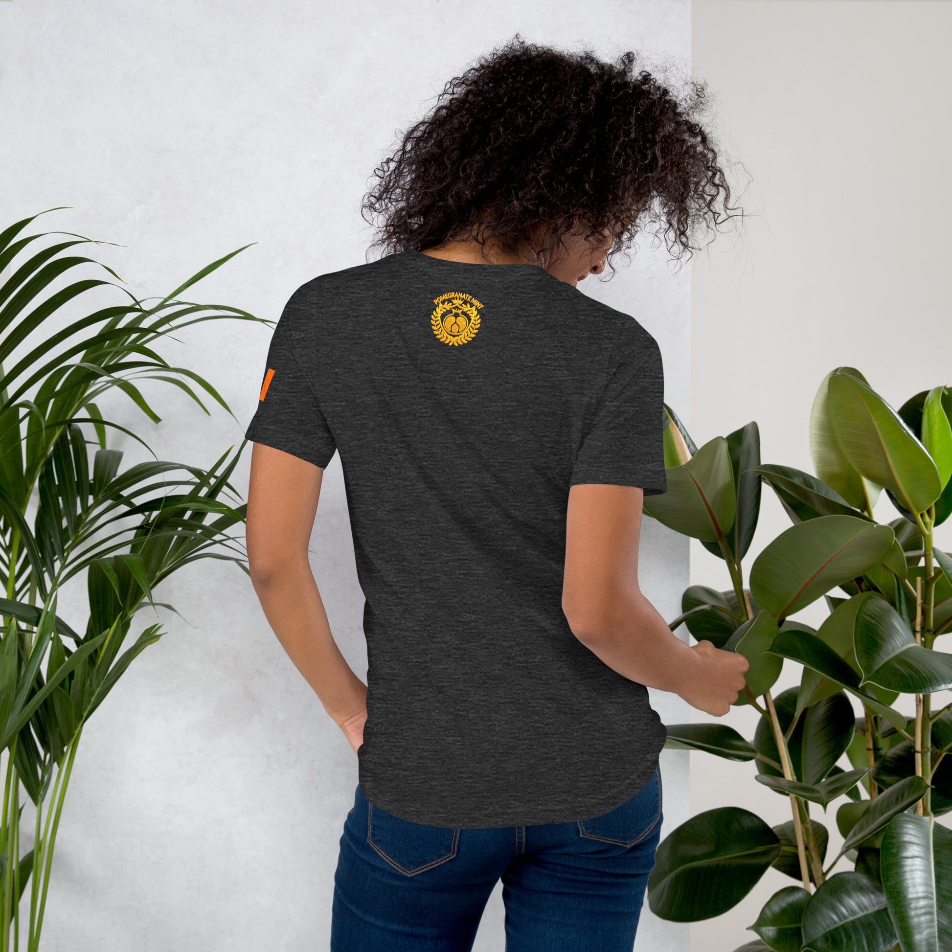 Unisex Armenian "Armenian Coat of Arms & Tricolor" Graphic T-Shirt Pomegranate Mint