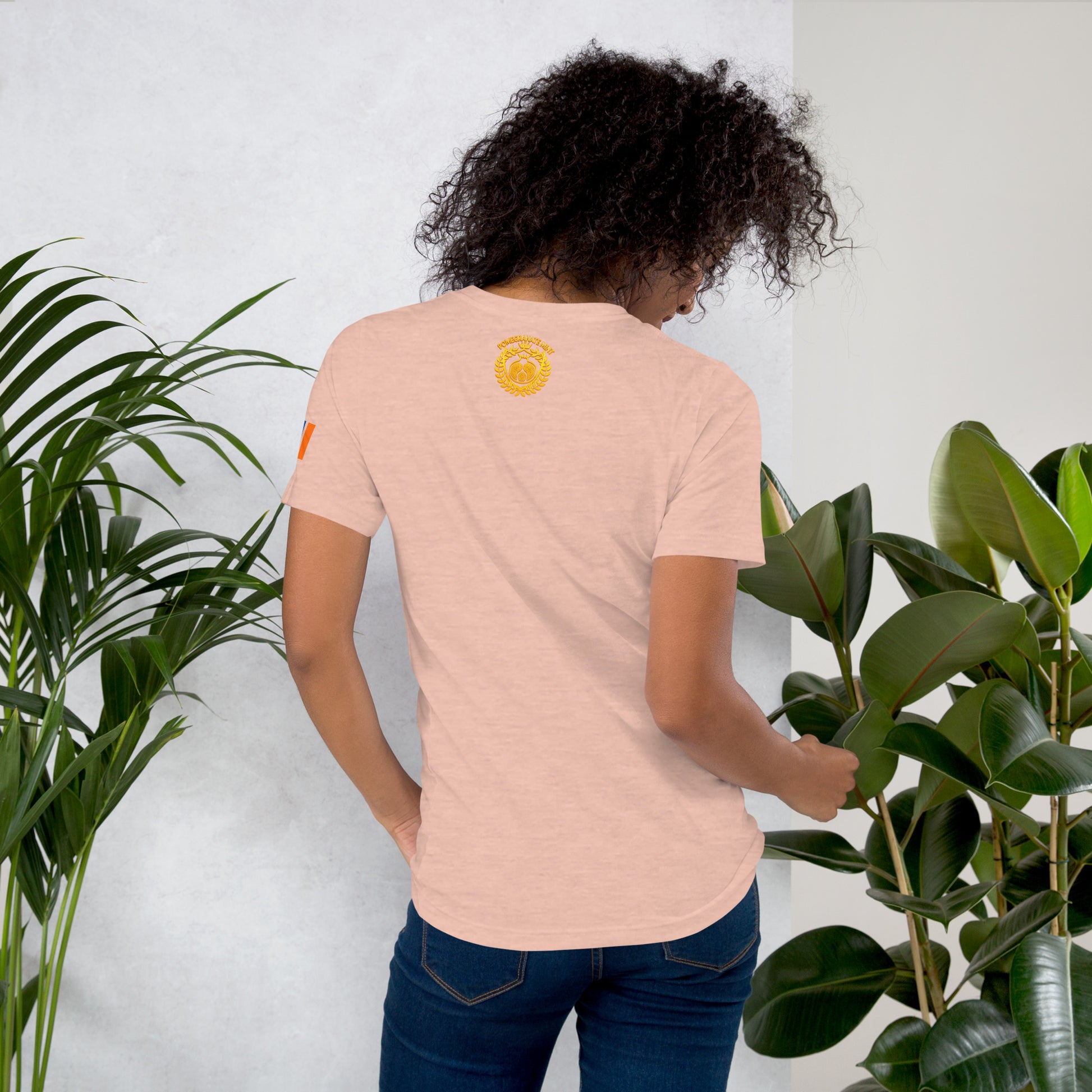 Unisex Armenian "Armenian Coat of Arms & Tricolor" Graphic T-Shirt Pomegranate Mint