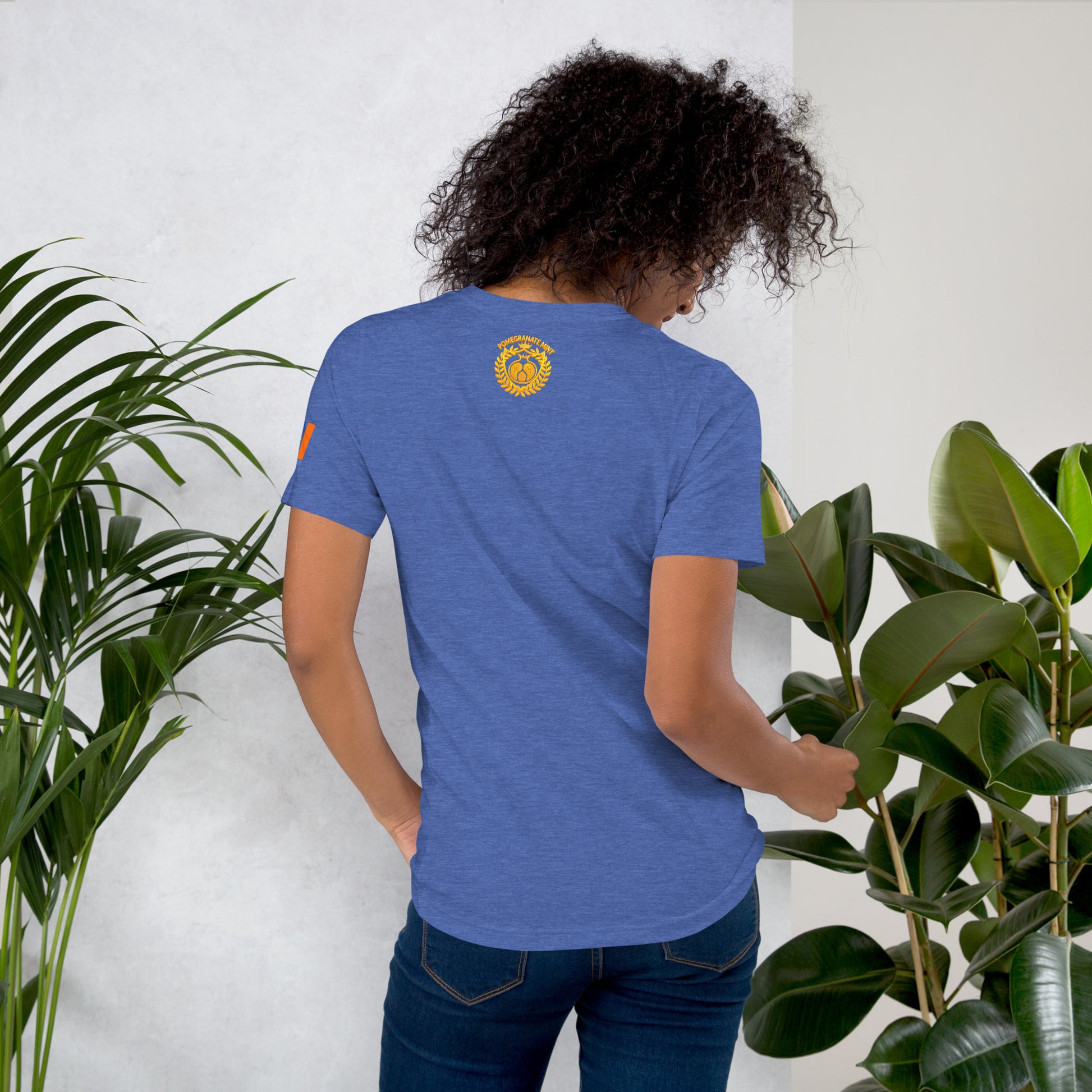 Unisex Armenian "Armenian Coat of Arms & Tricolor" Graphic T-Shirt Pomegranate Mint
