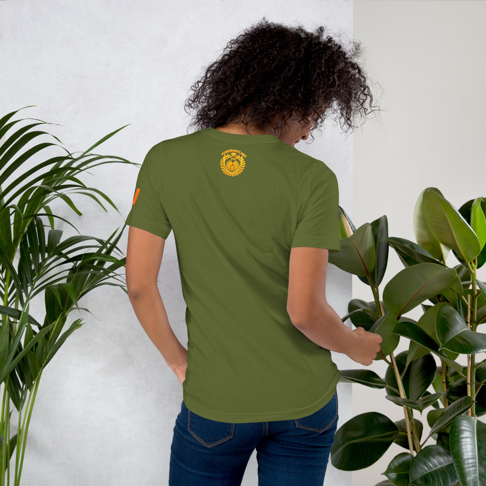 Unisex Armenian "Armenian Coat of Arms & Tricolor" Graphic T-Shirt Pomegranate Mint