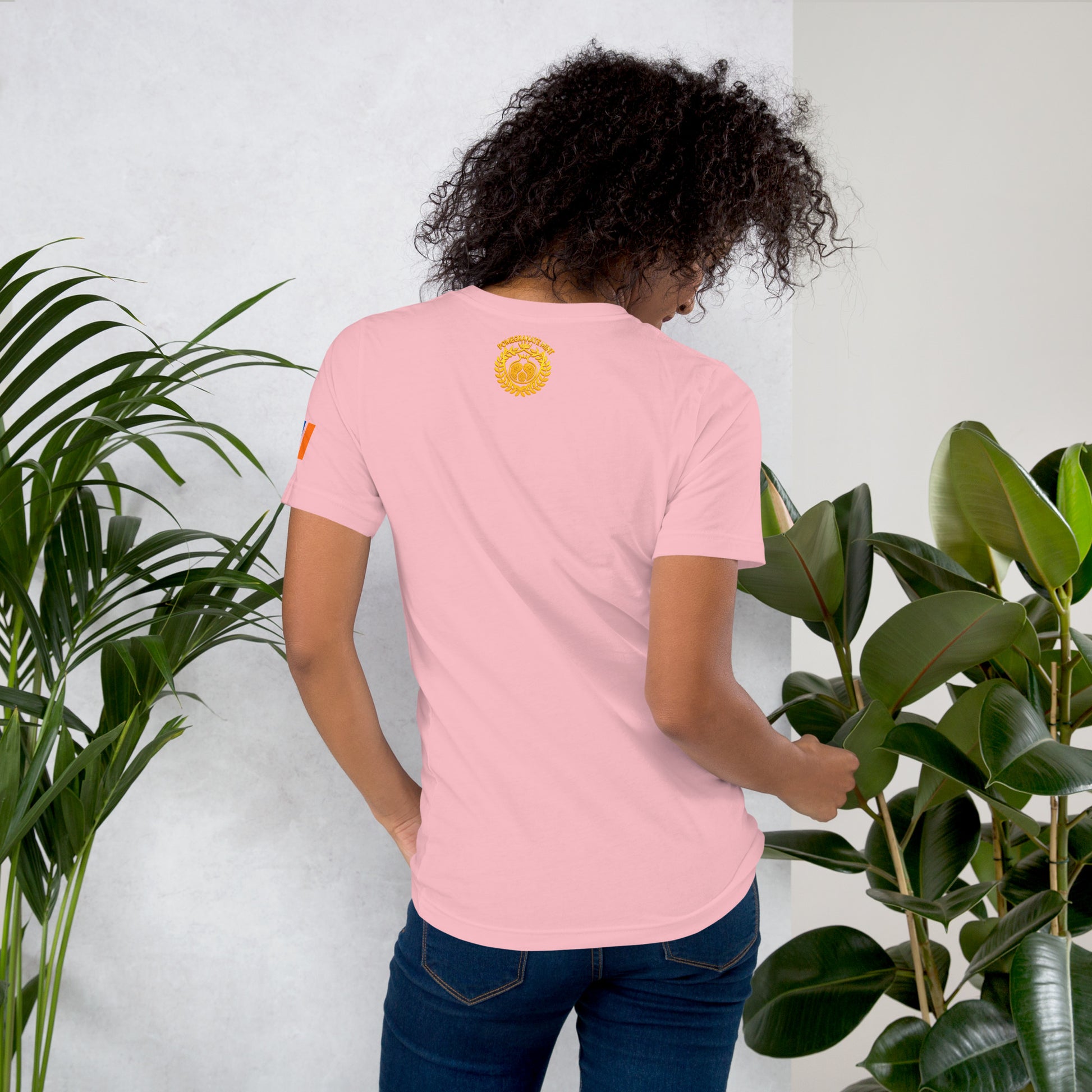 Unisex Armenian "Armenian Coat of Arms & Tricolor" Graphic T-Shirt Pomegranate Mint