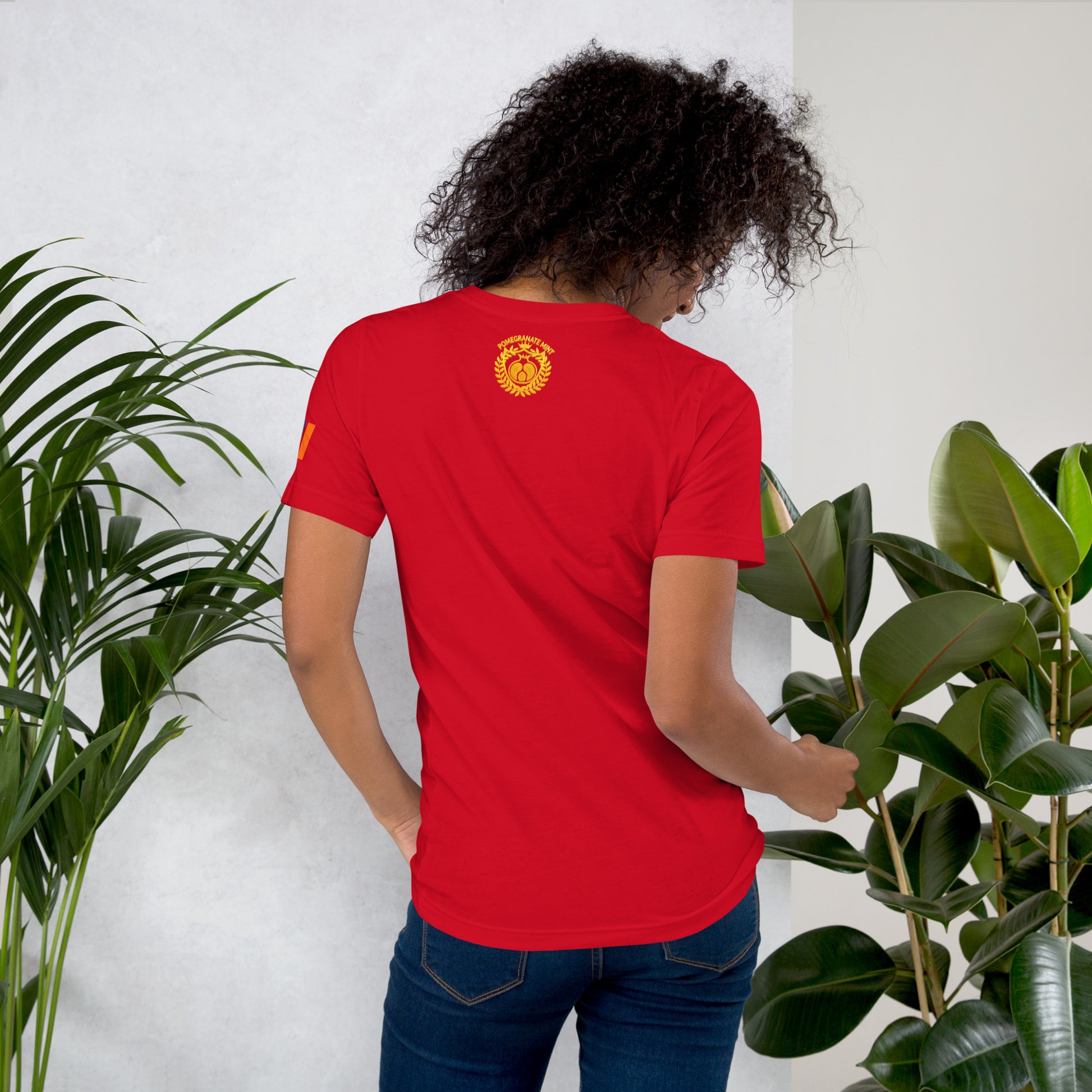 Unisex Armenian "Armenian Coat of Arms & Tricolor" Graphic T-Shirt Pomegranate Mint