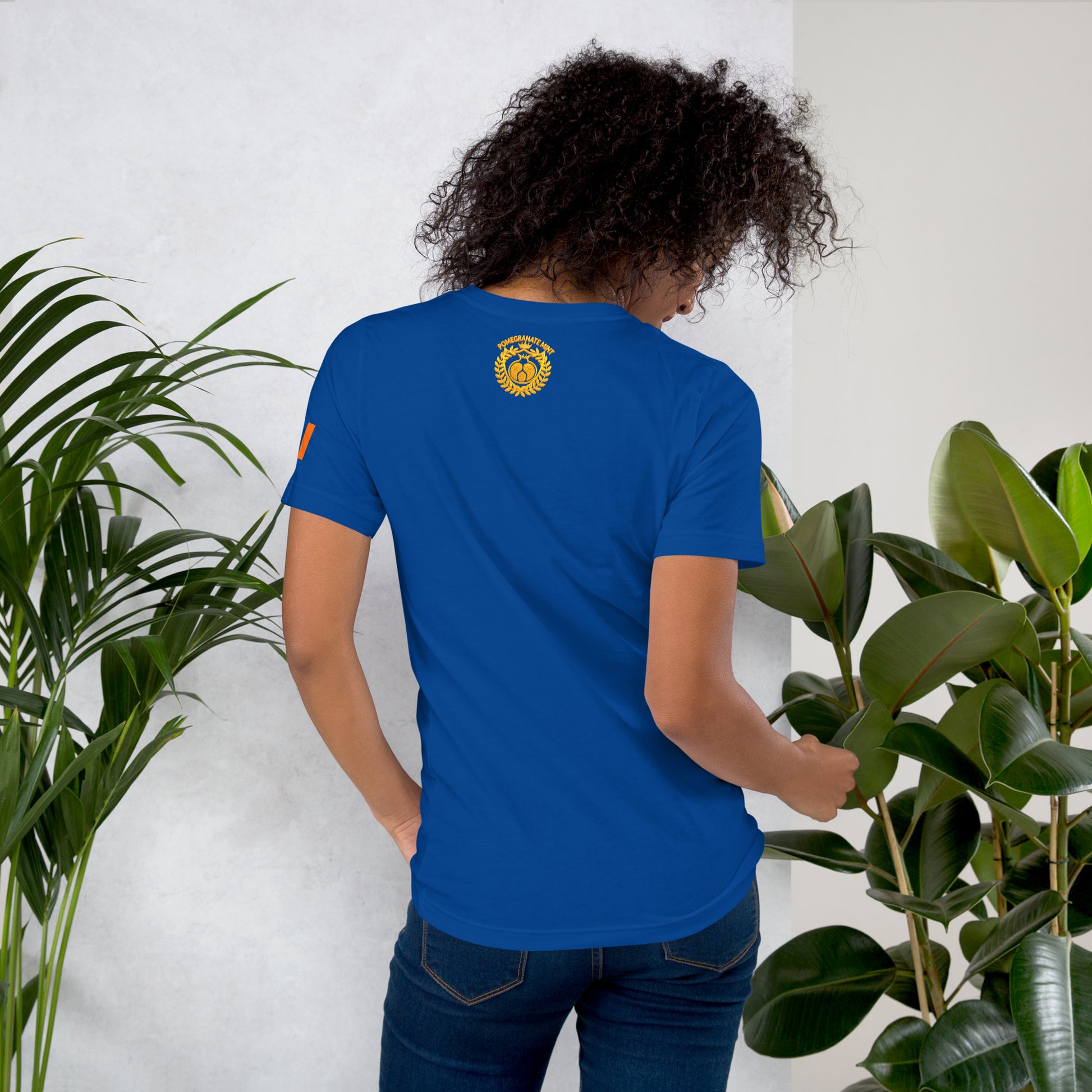 Unisex Armenian "Armenian Coat of Arms & Tricolor" Graphic T-Shirt Pomegranate Mint